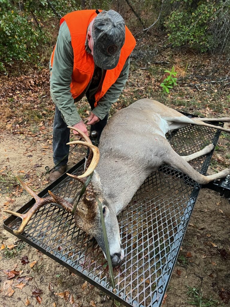 Hunter Wearing an Orange Safety Vest and Camouflage Hat Securing a Harvested White-Tailed Deer onto a Metal Rack in a Wooded Area