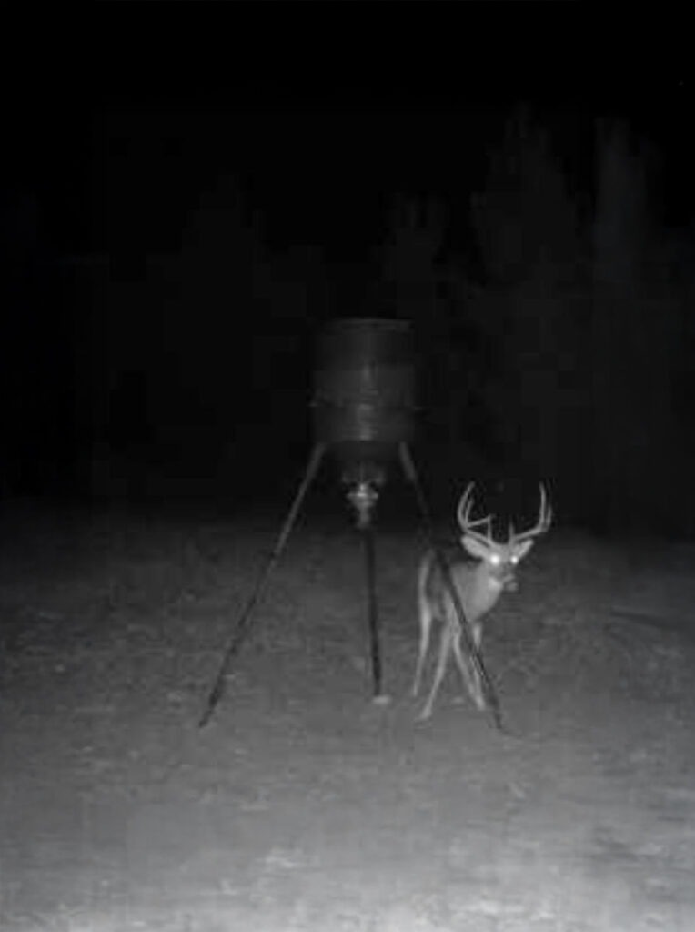 Trail Camera Night Photo of a White-Tailed Deer Standing Beside a Metal Feeder in an Open Field