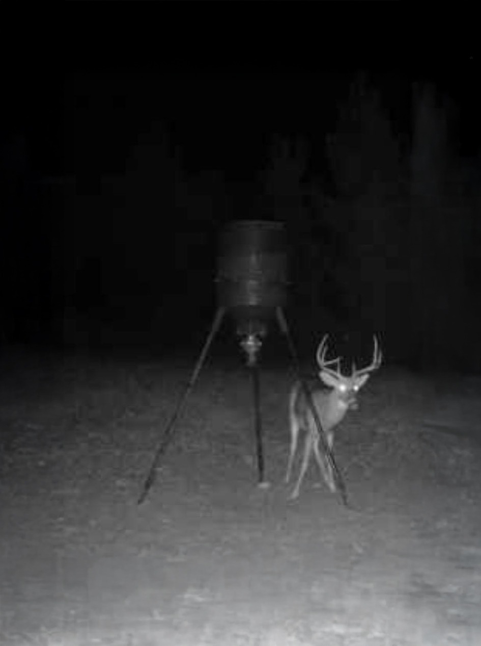 Trail Camera Night Photo of a White-Tailed Deer Standing Beside a Metal Feeder in an Open Field